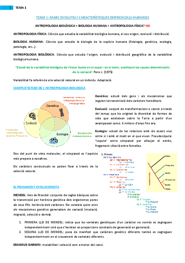 Miniatura del documento Tema-1.-Marc-evolutiu-i-caracteristiques-diferencials-humanes.pdf