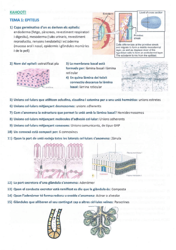 Miniatura del documento Kahoot.pdf