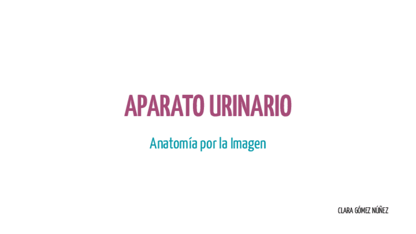 Miniatura del documento Aparato urinario.pdf