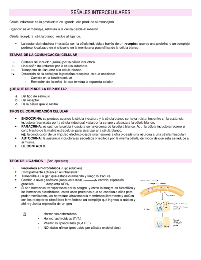 Miniatura del documento SENALES-INTERCELULARES3.docx