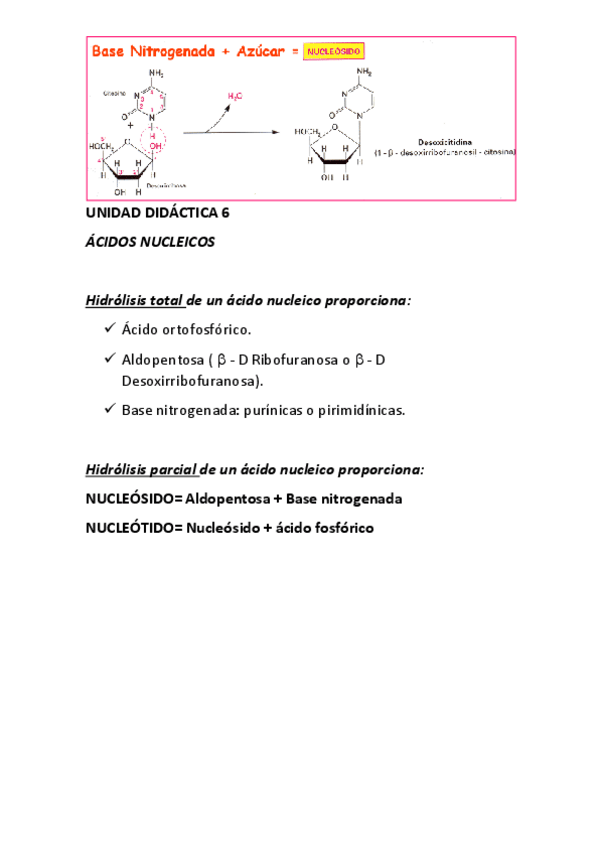 Miniatura del documento UNIDAD-DIDACTICA-6.pdf