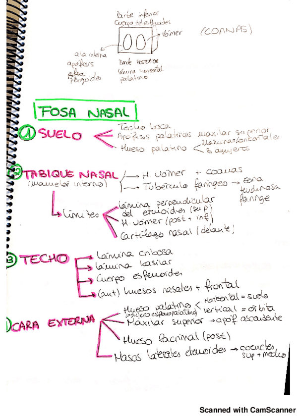 Miniatura del documento visceral.pdf