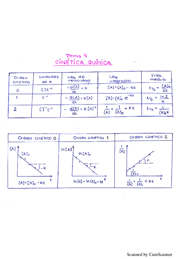 Miniatura del documento cinetica.pdf