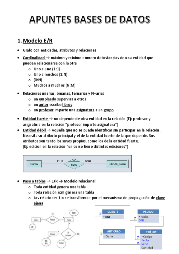 Miniatura del documento APUNTES-BASES-2019.pdf