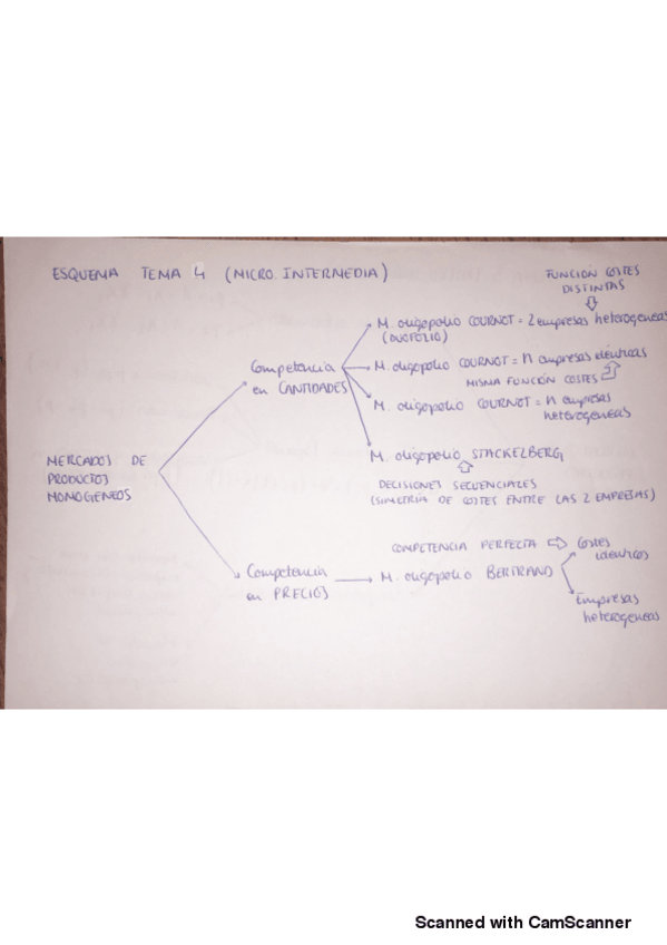 Miniatura del documento Esquema-TEMA-4.pdf