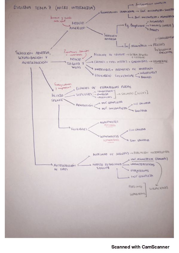 Miniatura del documento Esquema-TEMA-7.pdf