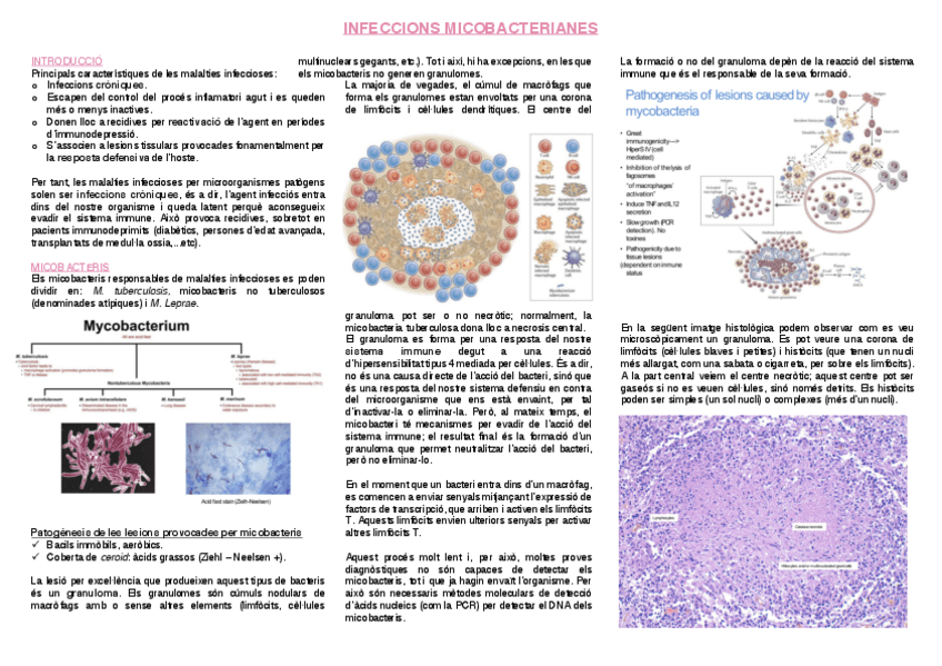 Miniatura del documento 10.-Infeccions-micobacterianes.pdf