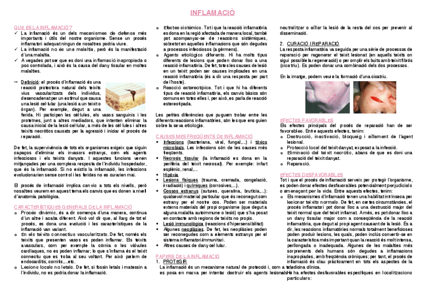 Miniatura del documento 6.-Inflamacio.pdf