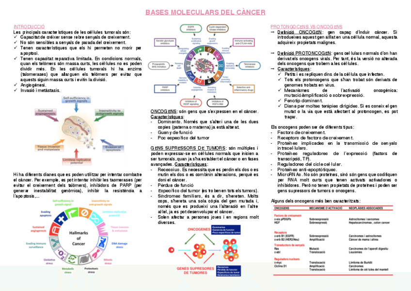 Miniatura del documento 21.-Bases-moleculars-del-cancer.pdf