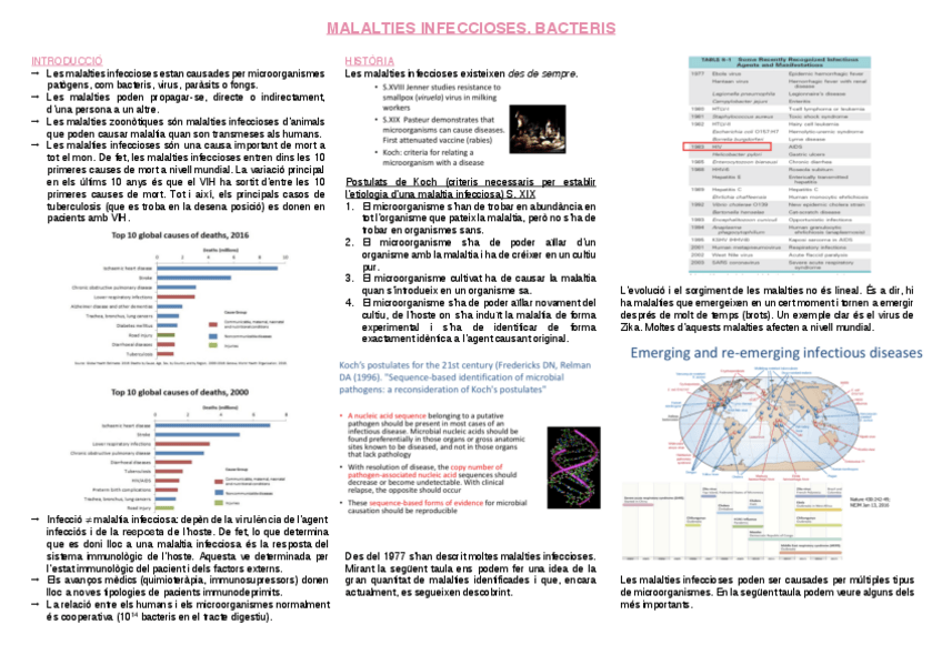 Miniatura del documento 22.-Malalties-infeccioses.-Bacteris.pdf