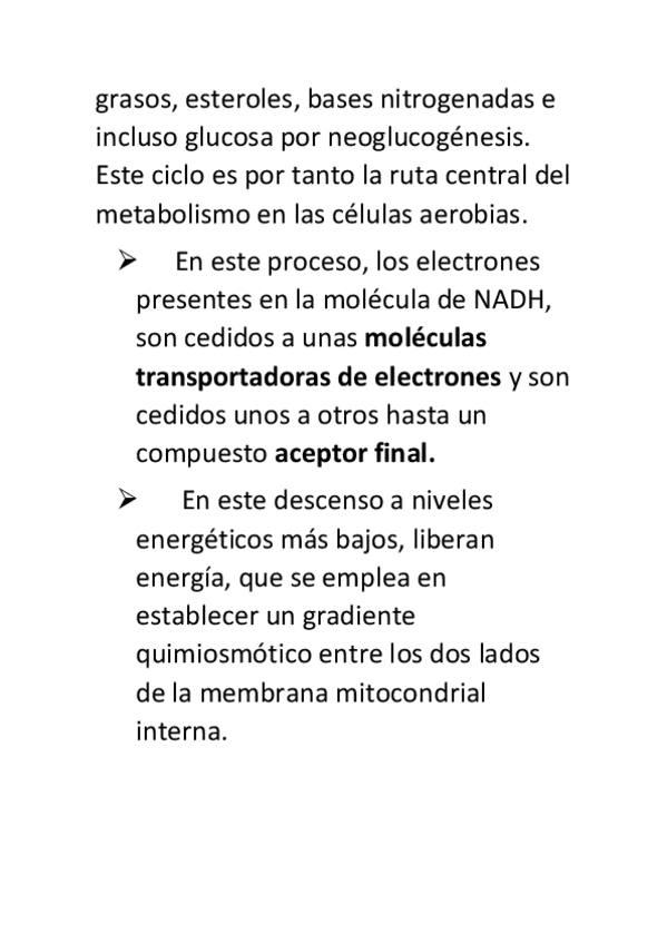 Miniatura del documento acidos-grasos.pdf