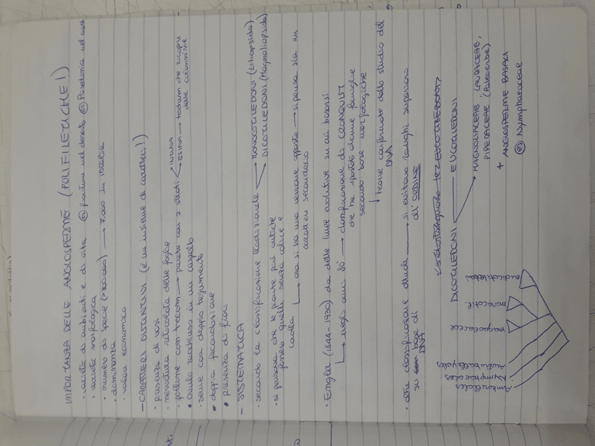 Miniatura del documento 15619933012602196954523199057371.jpg