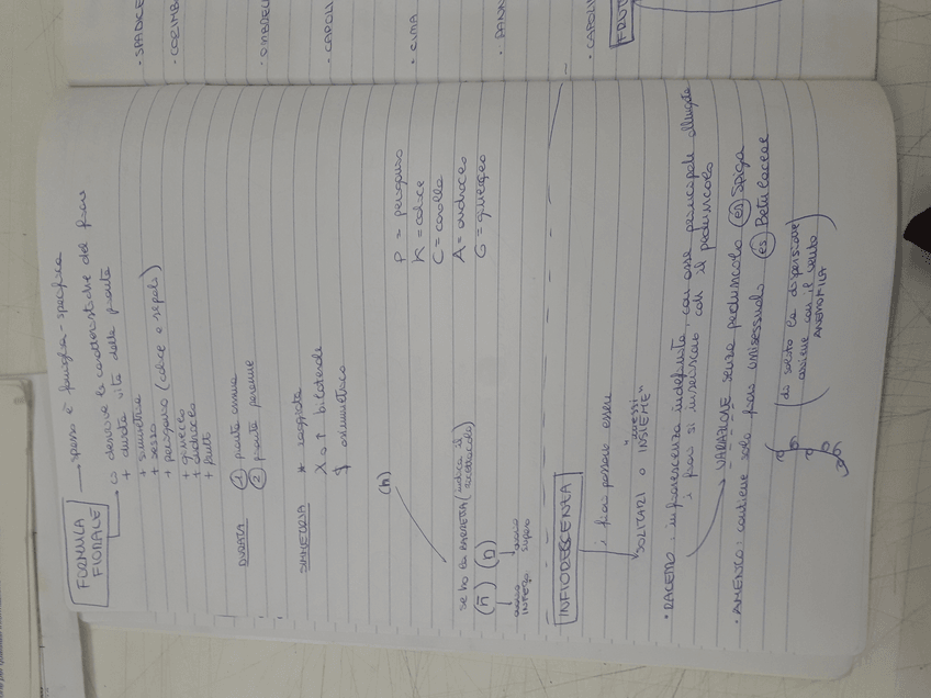 Miniatura del documento 15619932527127775455714009176286.jpg