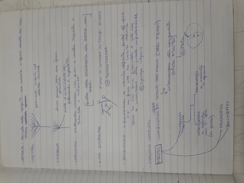 Miniatura del documento 15619932632352104611621534742548.jpg