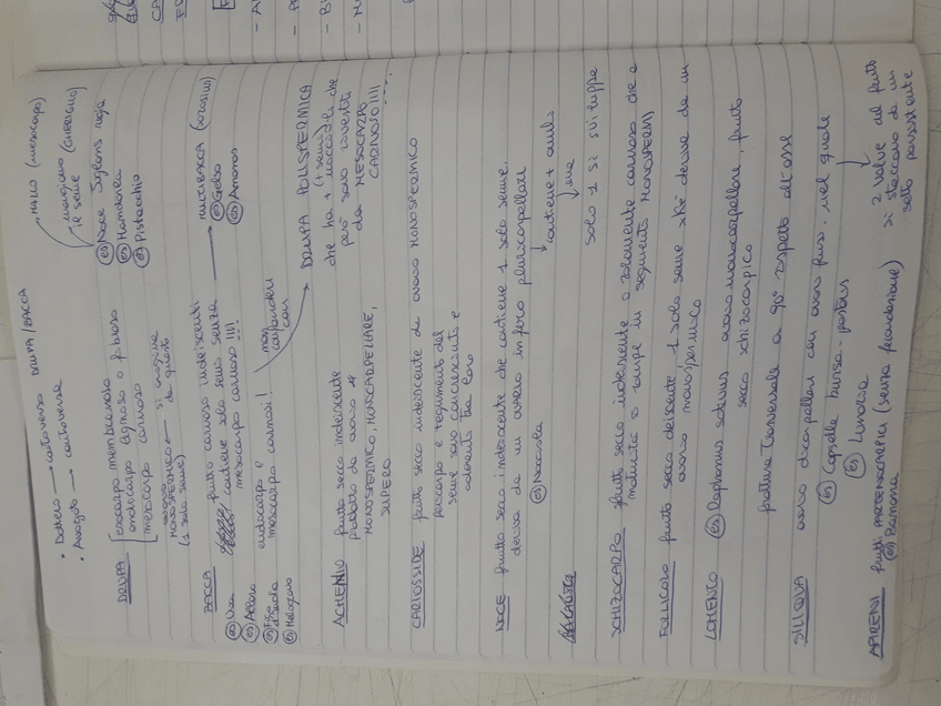 Miniatura del documento 15619932710701781787363335838817.jpg