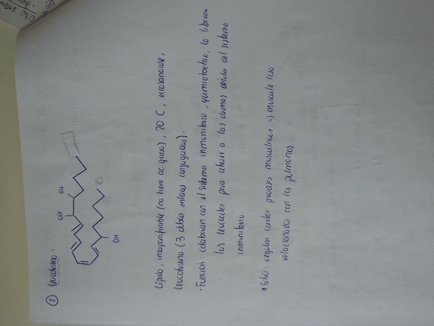 Miniatura del documento 15619977484414864650914422747201.jpg