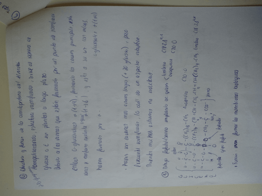 Miniatura del documento 15619977160971868198686491350110.jpg