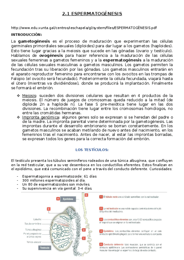 Miniatura del documento TEMA-2.1.docx