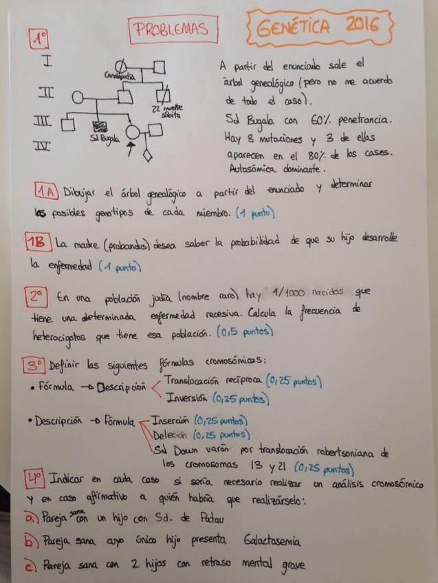 Miniatura del documento Genética2016.JPG