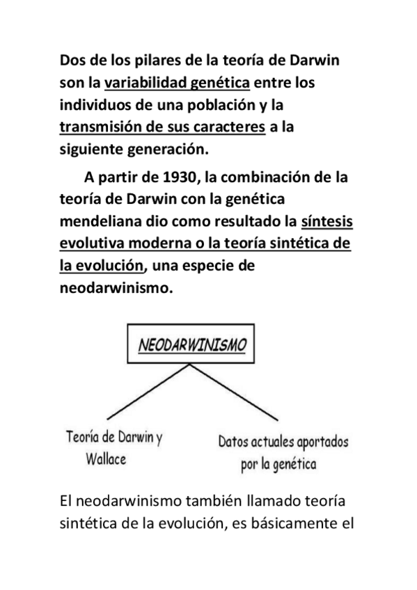 Miniatura del documento evolucion88.pdf