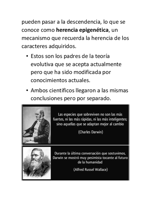 Miniatura del documento evoucion55.pdf