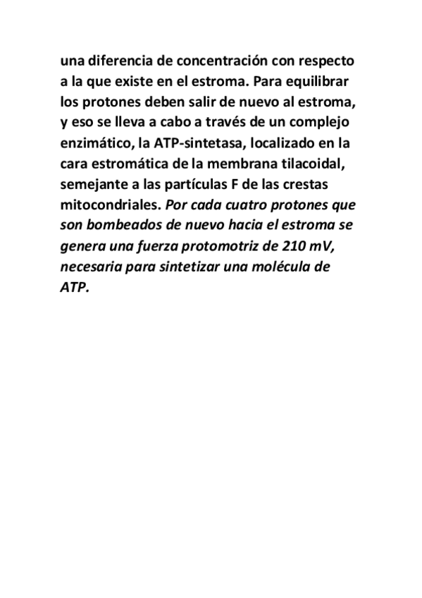 Miniatura del documento fotosintesiss.pdf