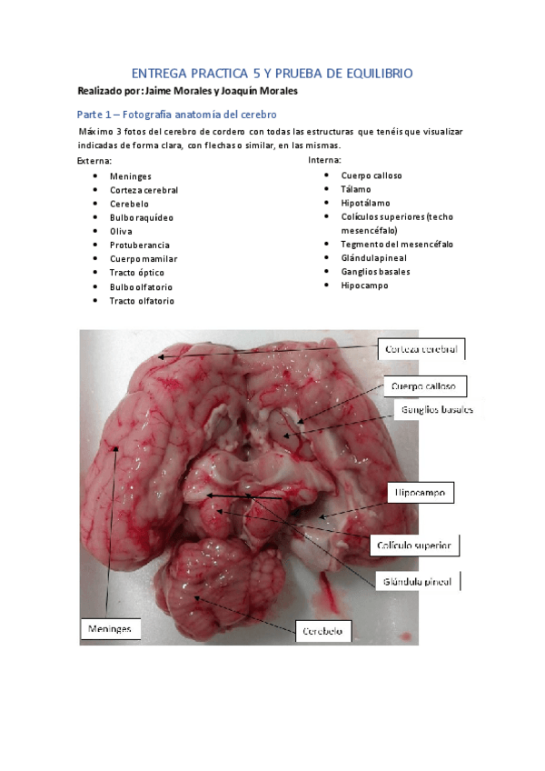 Miniatura del documento Entrega.pdf