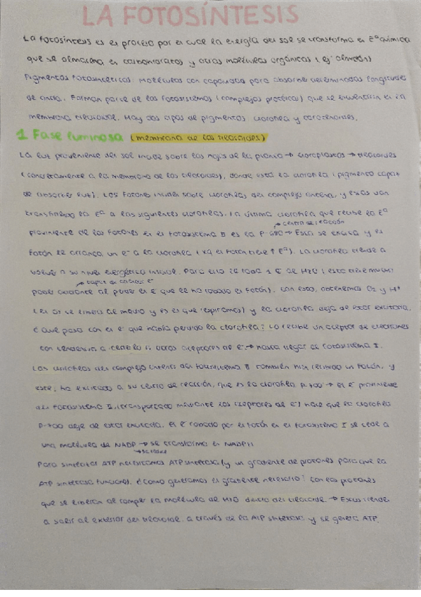 Miniatura del documento Fase-luminosa-fotosintesis.pdf