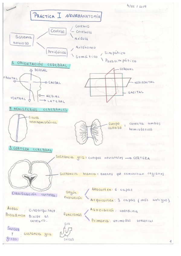 Miniatura del documento PRACTICA-1.pdf