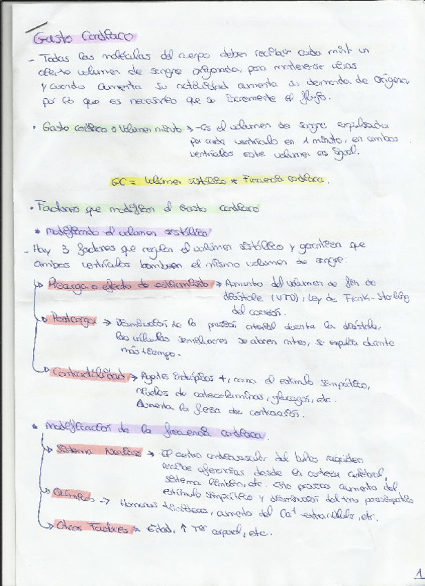 Miniatura del documento resumen.pdf