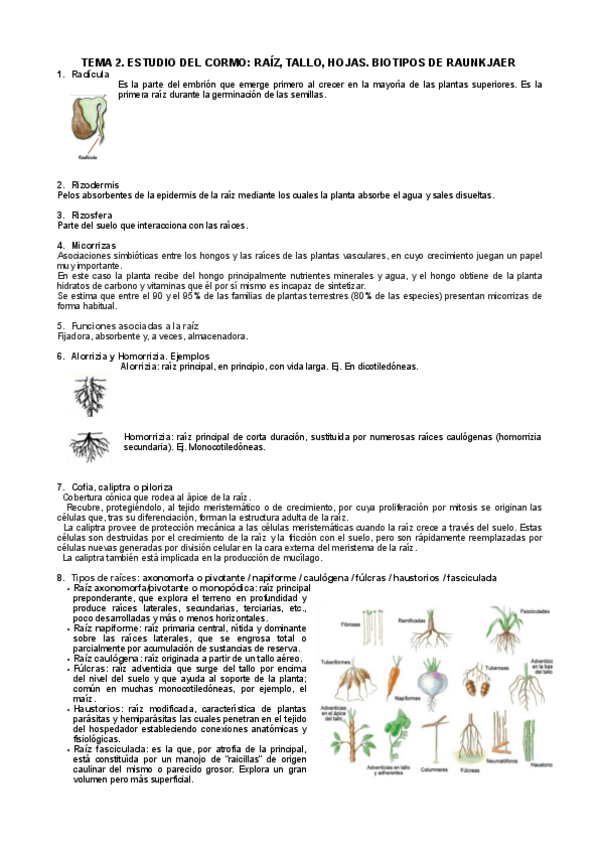 Miniatura del documento T2-botII-cuestiones.pdf
