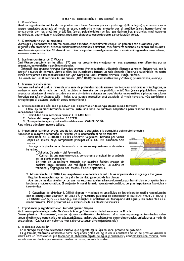 Miniatura del documento Tema-1-botanica-II-cuestiones.pdf