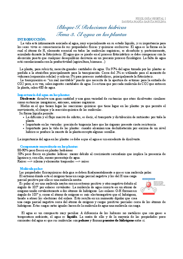 Miniatura del documento TEMA-3-FISIO-VEGETAL-I.pdf