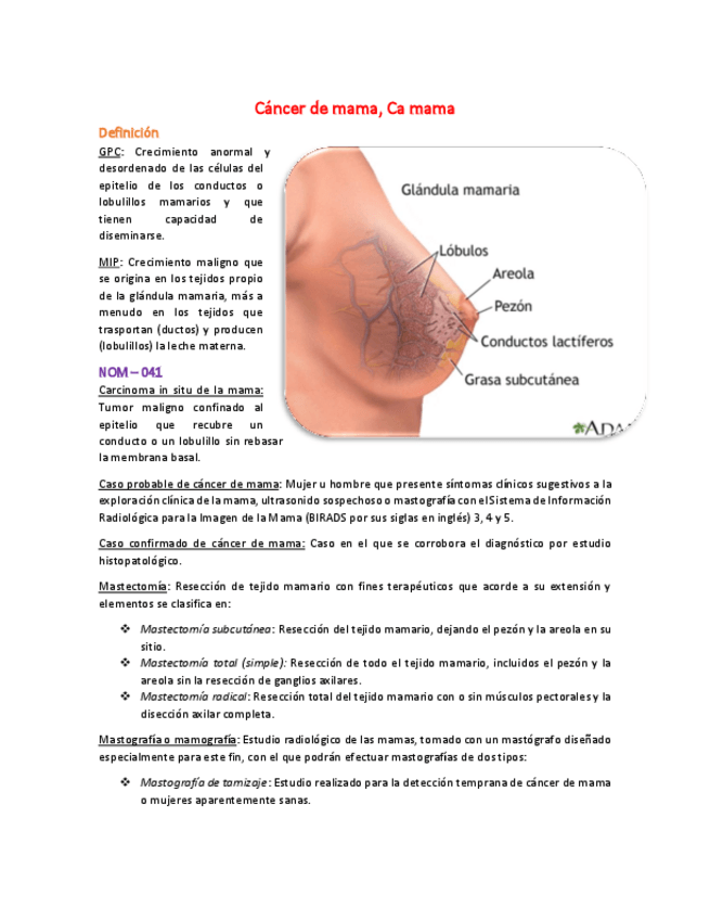 Miniatura del documento 2-Cancer-de-mama.pdf
