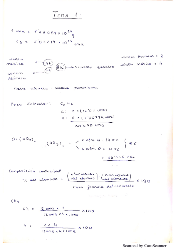 Miniatura del documento RELACIONRESUELTAENTERA.pdf