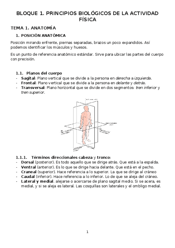 Miniatura del documento FUNDAMENTOS-BLOQUE-I.docx