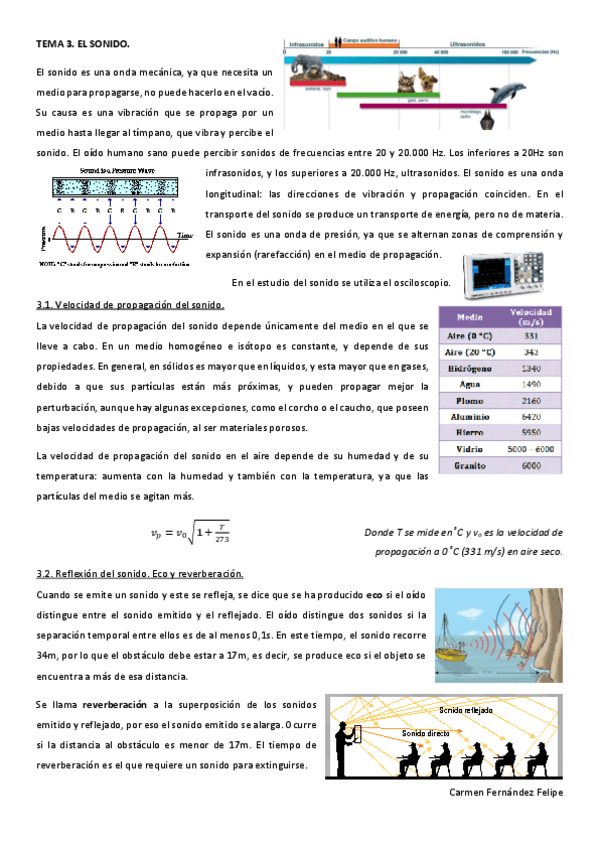 Miniatura del documento FSC-T3.pdf