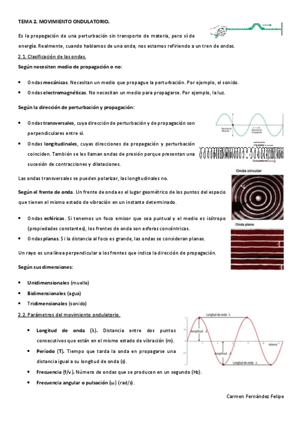 Miniatura del documento FSC-T2.pdf