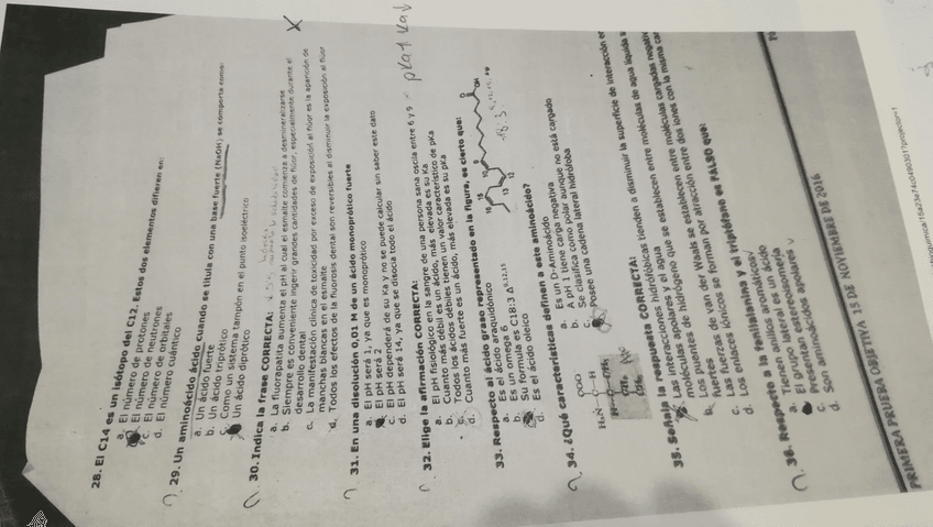 Miniatura del documento IMG20181031115044.jpeg