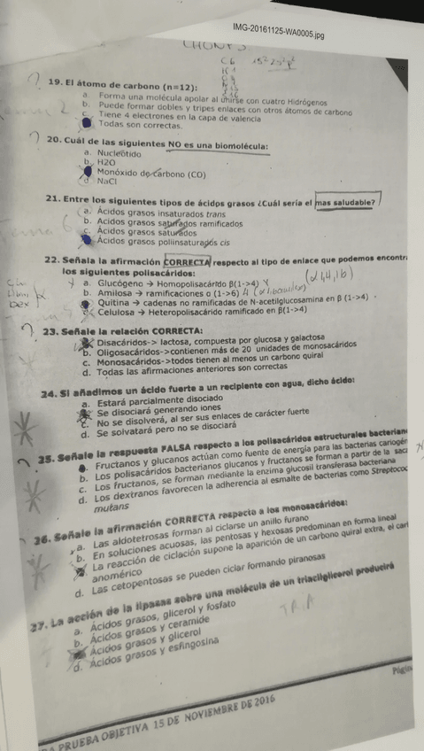 Miniatura del documento IMG20181031115030.jpeg