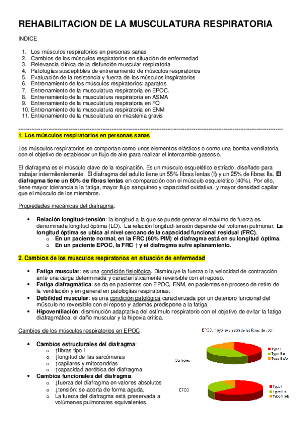 Miniatura del documento REHABILITACION-DE-LA-MUSCULATURA-RESPIRATORIA.pdf
