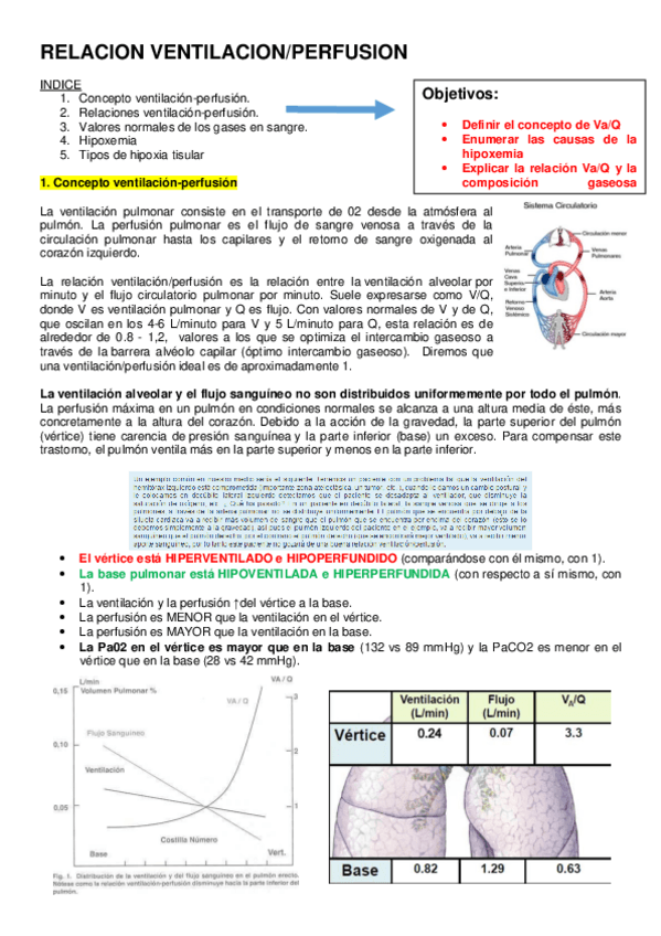 Miniatura del documento RELACION-VENTILACION.pdf