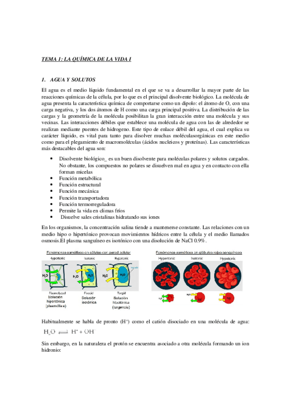 Miniatura del documento Apuntes-bioquimica.docx