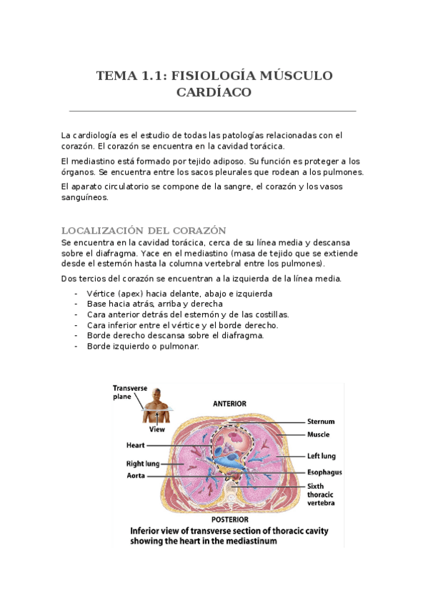 Miniatura del documento APUNTES-FISIOLOGIA-II.docx