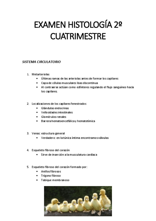 Miniatura del documento EXAMEN-HISTOLOGIA.pdf