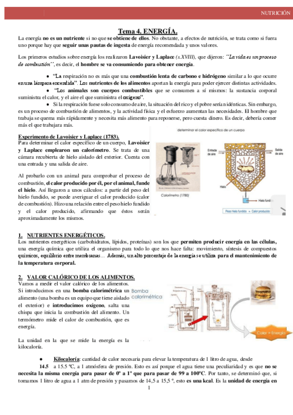 Miniatura del documento Tema-4-Nutricion.pdf