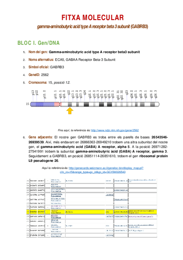 Miniatura del documento Fitxa-Molecular.docx