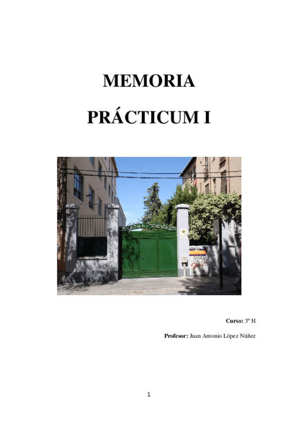 Miniatura del documento Memoria-practicum.docx