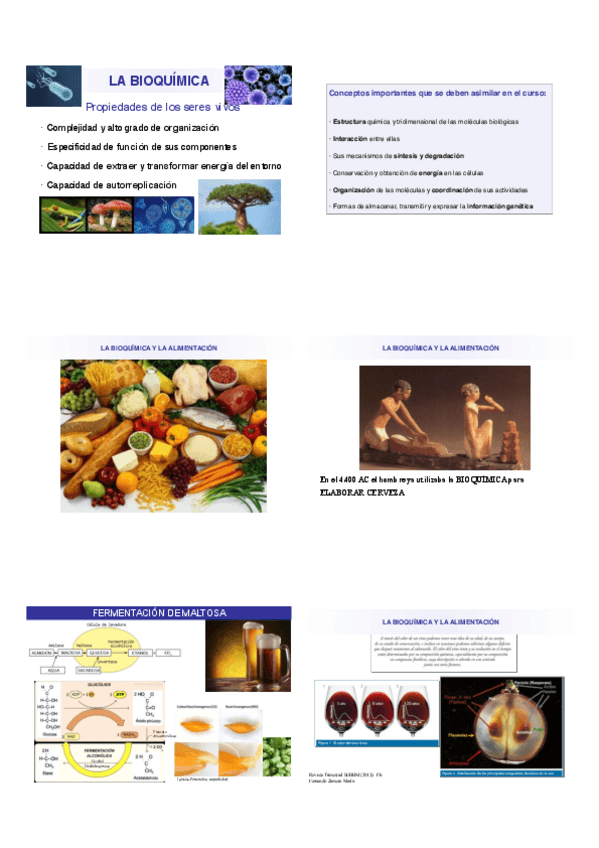 Miniatura del documento Libro-Bioquimica-Primer-parical.pdf