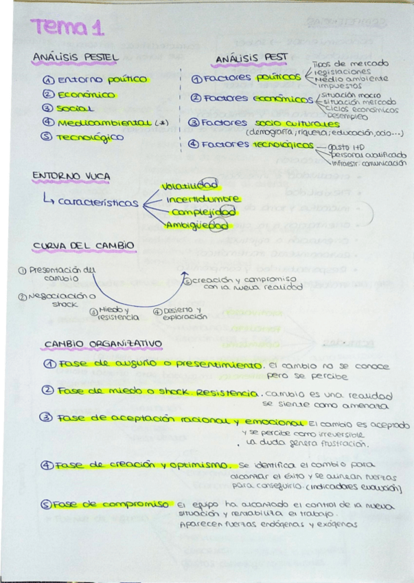 Miniatura del documento CreacionDeEmpresas-Esquemas.pdf